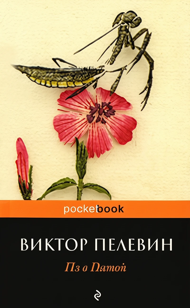 Книга Пэ в Пятой