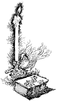 Иллюстрация к книге — Недотепа [Zany-011.png]