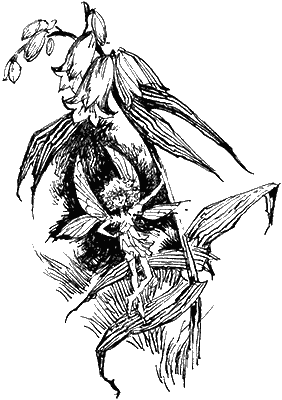 Иллюстрация к книге — Недотепа [Zany-014.png]