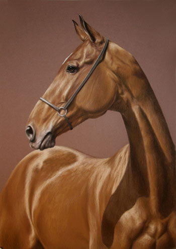 Иллюстрация к книге — Мир в подарок [World-as-a-gift-004.jpg]