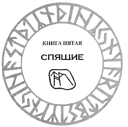 Иллюстрация к книге — Рунная магия [Runemarks-48.png]