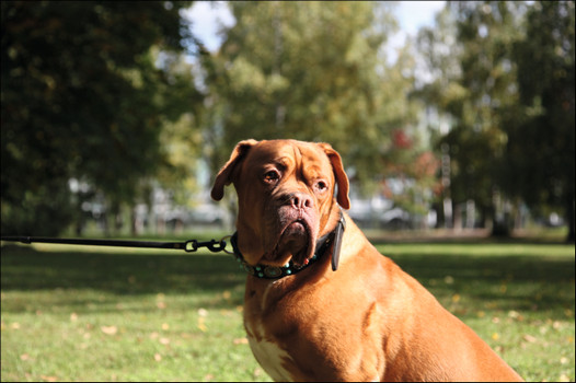 Иллюстрация к книге — Я такой как все [I-like-everything-097.jpg]