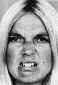 Иллюстрация к книге — Узнай лжеца по выражению лица [Explore-the-liars-expression-071.jpg]