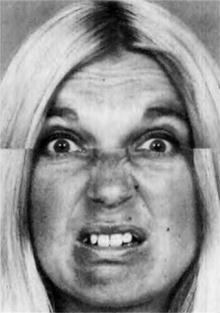 Иллюстрация к книге — Узнай лжеца по выражению лица [Explore-the-liars-expression-073.jpg]