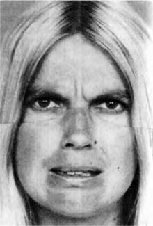 Иллюстрация к книге — Узнай лжеца по выражению лица [Explore-the-liars-expression-113.jpg]