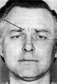 Иллюстрация к книге — Узнай лжеца по выражению лица [Explore-the-liars-expression-138.jpg]