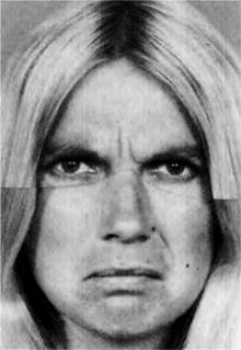 Иллюстрация к книге — Узнай лжеца по выражению лица [Explore-the-liars-expression-153.jpg]