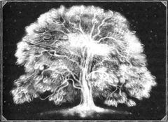 Иллюстрация к книге — Терн [Tern-pic_0200.jpg]