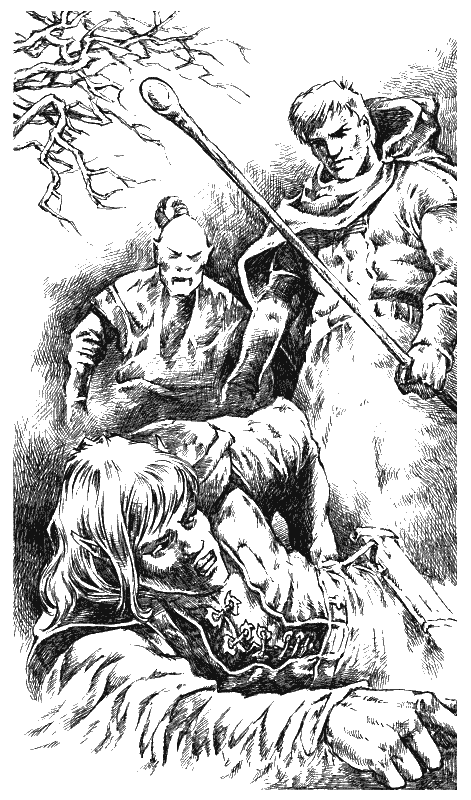 Иллюстрация к книге — Хранитель Мечей. Странствия мага. Том 1 [Keeper-of-the-Swords-Wandering-magician-Volume-1-003.png]