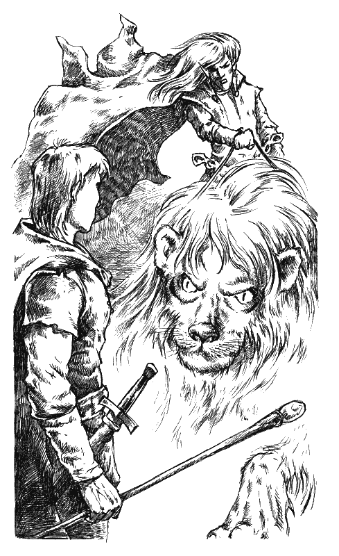 Иллюстрация к книге — Хранитель Мечей. Странствия мага. Том 1 [Keeper-of-the-Swords-Wandering-magician-Volume-1-005.png]