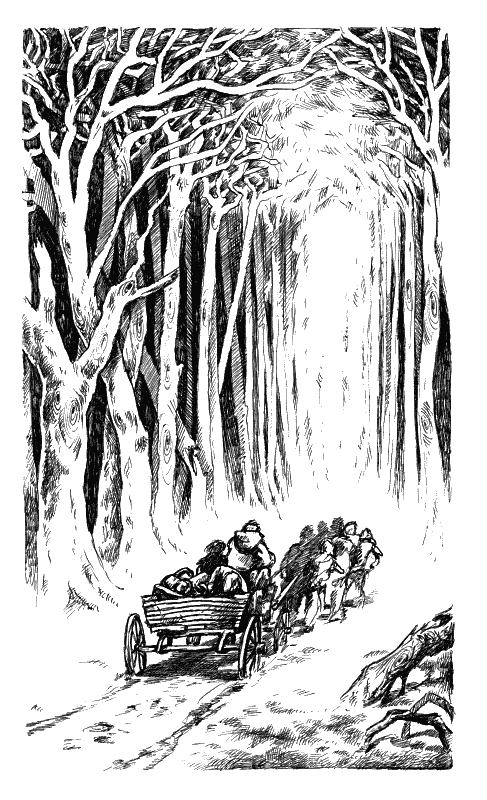 Иллюстрация к книге — Хранитель Мечей. Странствия мага. Том 2 [Keeper-of-the-Swords-Wandering-magician-Volume-2-004.png]