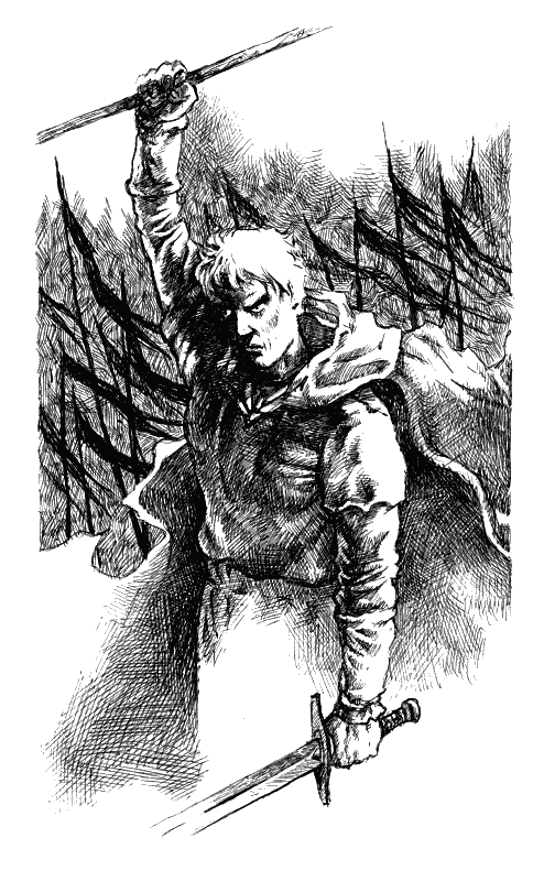 Иллюстрация к книге — Хранитель Мечей. Странствия мага. Том 2 [Keeper-of-the-Swords-Wandering-magician-Volume-2-012.png]