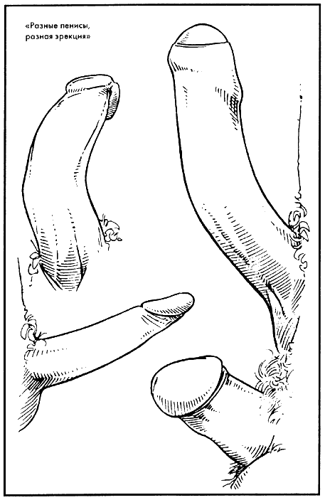 Иллюстрация к книге — Библия секса [Bible-Sex-012.png]