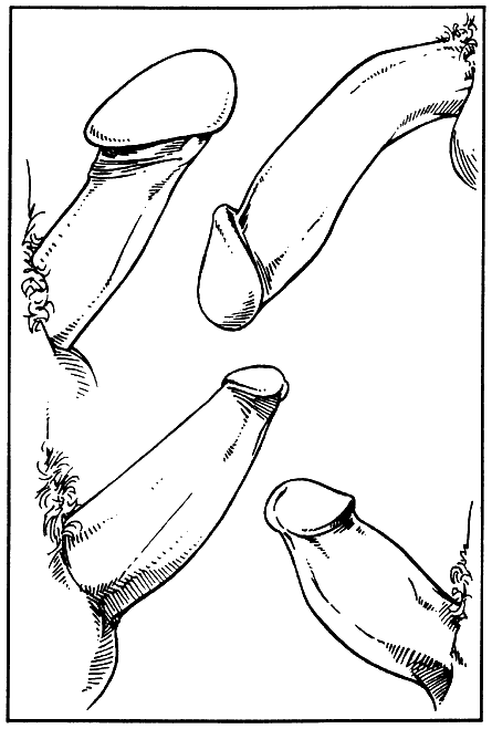 Иллюстрация к книге — Библия секса [Bible-Sex-013.png]