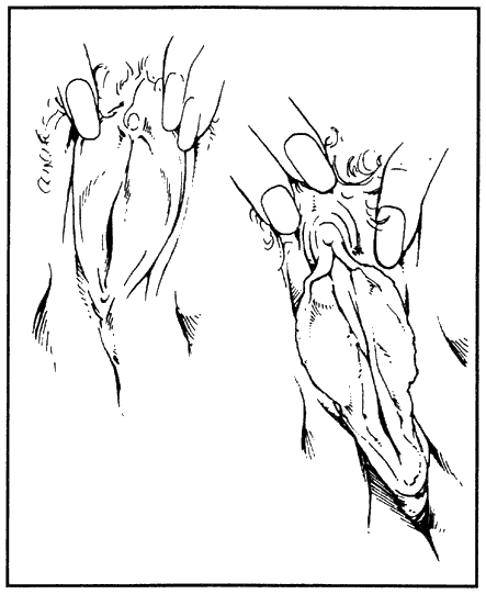 Иллюстрация к книге — Библия секса [Bible-Sex-016.png]