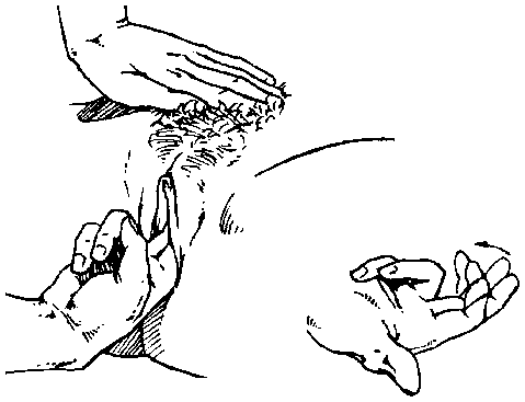 Иллюстрация к книге — Библия секса [Bible-Sex-023.png]