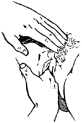 Иллюстрация к книге — Библия секса [Bible-Sex-027.png]