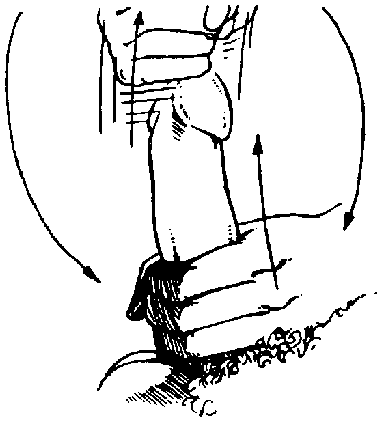 Иллюстрация к книге — Библия секса [Bible-Sex-033.png]