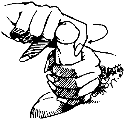 Иллюстрация к книге — Библия секса [Bible-Sex-034.png]