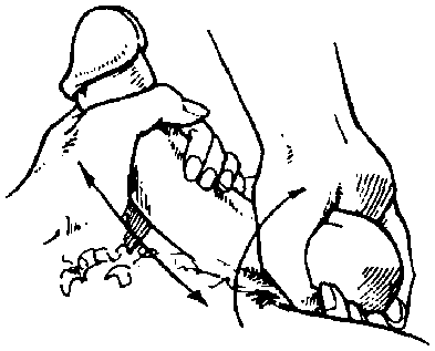 Иллюстрация к книге — Библия секса [Bible-Sex-037.png]