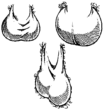 Иллюстрация к книге — Библия секса [Bible-Sex-039.png]