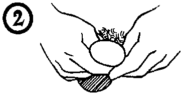 Иллюстрация к книге — Библия секса [Bible-Sex-041.png]