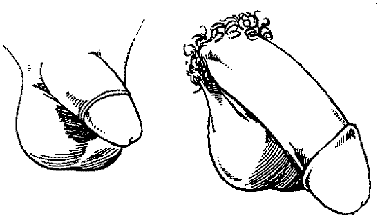 Иллюстрация к книге — Библия секса [Bible-Sex-086.png]