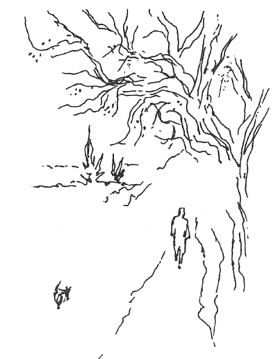 Иллюстрация к книге — Год в Провансе [A-Year-in-Provence-002.png]