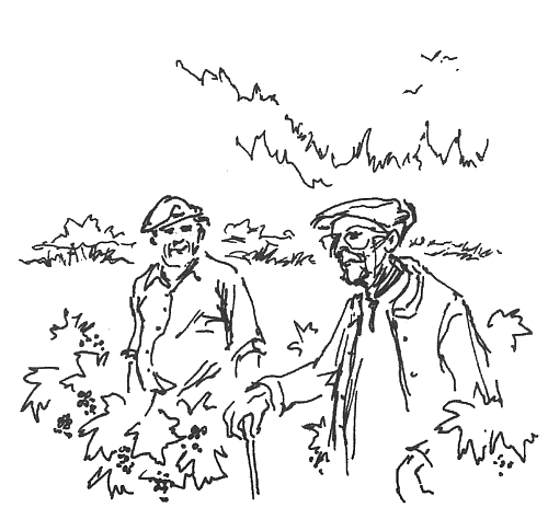 Иллюстрация к книге — Год в Провансе [A-Year-in-Provence-011.png]