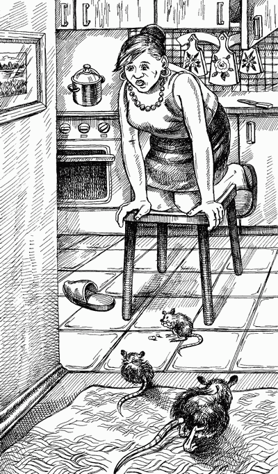 Иллюстрация к книге — Король хитрости [King-of-Tricks-006.png]