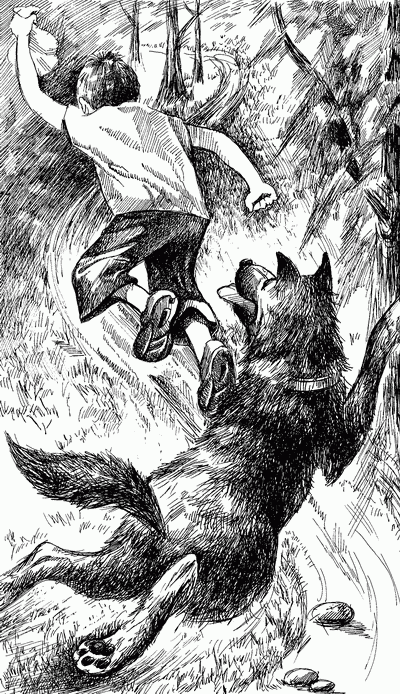 Иллюстрация к книге — Король хитрости [King-of-Tricks-011.png]