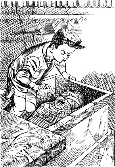 Иллюстрация к книге — Ягге и магия вуду [ = Гроб на колесиках ] [Yagge-and-voodoo-magic-013.jpg]