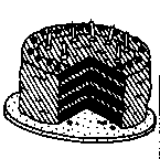 Иллюстрация к книге — Вечеринка с ночевкой [image130.png]