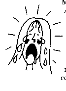 Иллюстрация к книге — Лучшие подруги [image230.png]