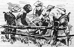 Иллюстрация к книге — Томек в стране кенгуру [pic14.jpg]