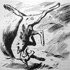 Иллюстрация к книге — Томек в стране кенгуру [pic16.jpg]