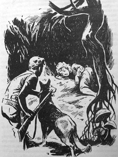 Иллюстрация к книге — Томек в стране кенгуру [pic20.jpg]