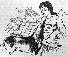 Иллюстрация к книге — Томек в стране кенгуру [pic21.jpg]