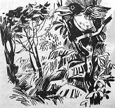 Иллюстрация к книге — Томек в стране кенгуру [pic23.jpg]