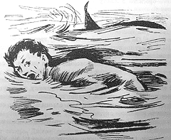 Иллюстрация к книге — Томек среди охотников за человеческими головами [pic14.png]