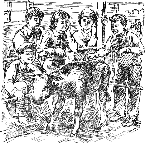 Иллюстрация к книге — Васек Трубачев и его товарищи [i_014.png]