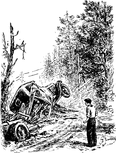 Иллюстрация к книге — Васек Трубачев и его товарищи. Книга 2 [i_009.png]