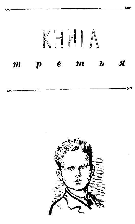 Иллюстрация к книге — Васек Трубачев и его товарищи. Книга 3 [i_001.png]