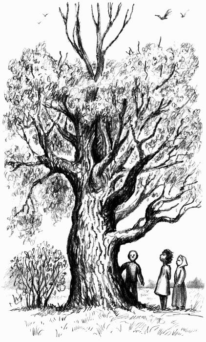 Иллюстрация к книге — Динка [i_036.jpg]