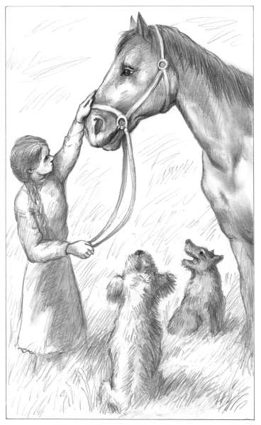 Иллюстрация к книге — Динка прощается с детством [i_005.jpg]