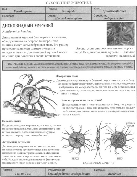 Иллюстрация к книге — Фрагмент [pic2.jpg]
