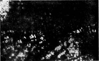 Иллюстрация к книге — Государство страха [i_008.jpg]