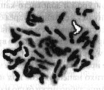 Иллюстрация к книге — Ключ Судного дня [_08.jpg]