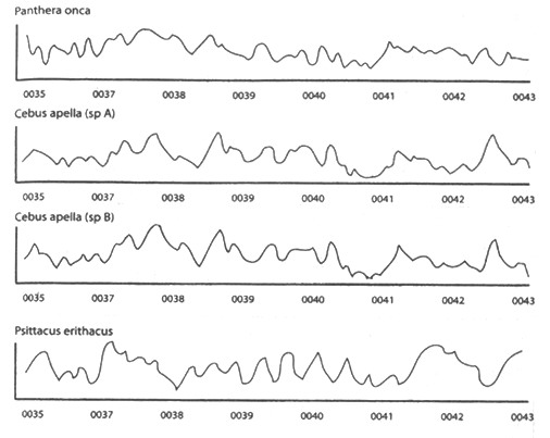 Иллюстрация к книге — Алтарь Эдема [doc2fb_image_02000005.jpg]