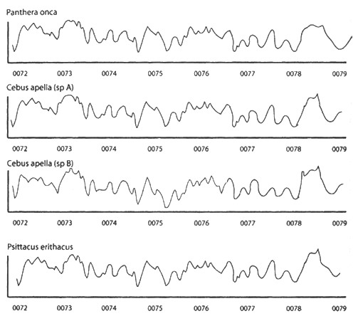 Иллюстрация к книге — Алтарь Эдема [doc2fb_image_02000006.jpg]